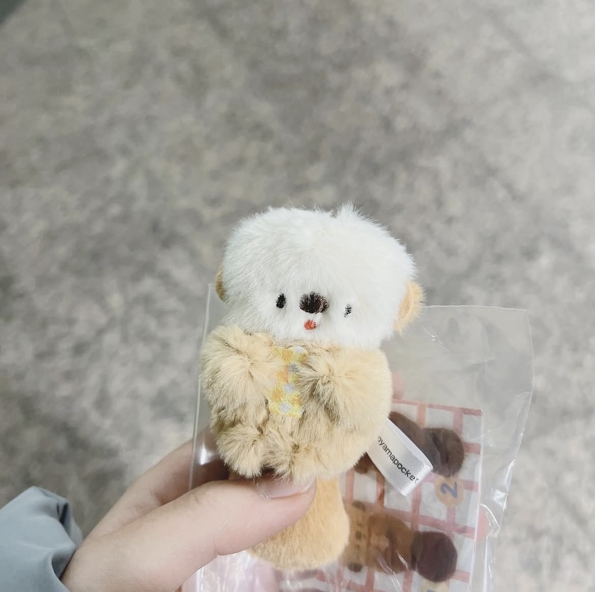 プロフィールアイコン